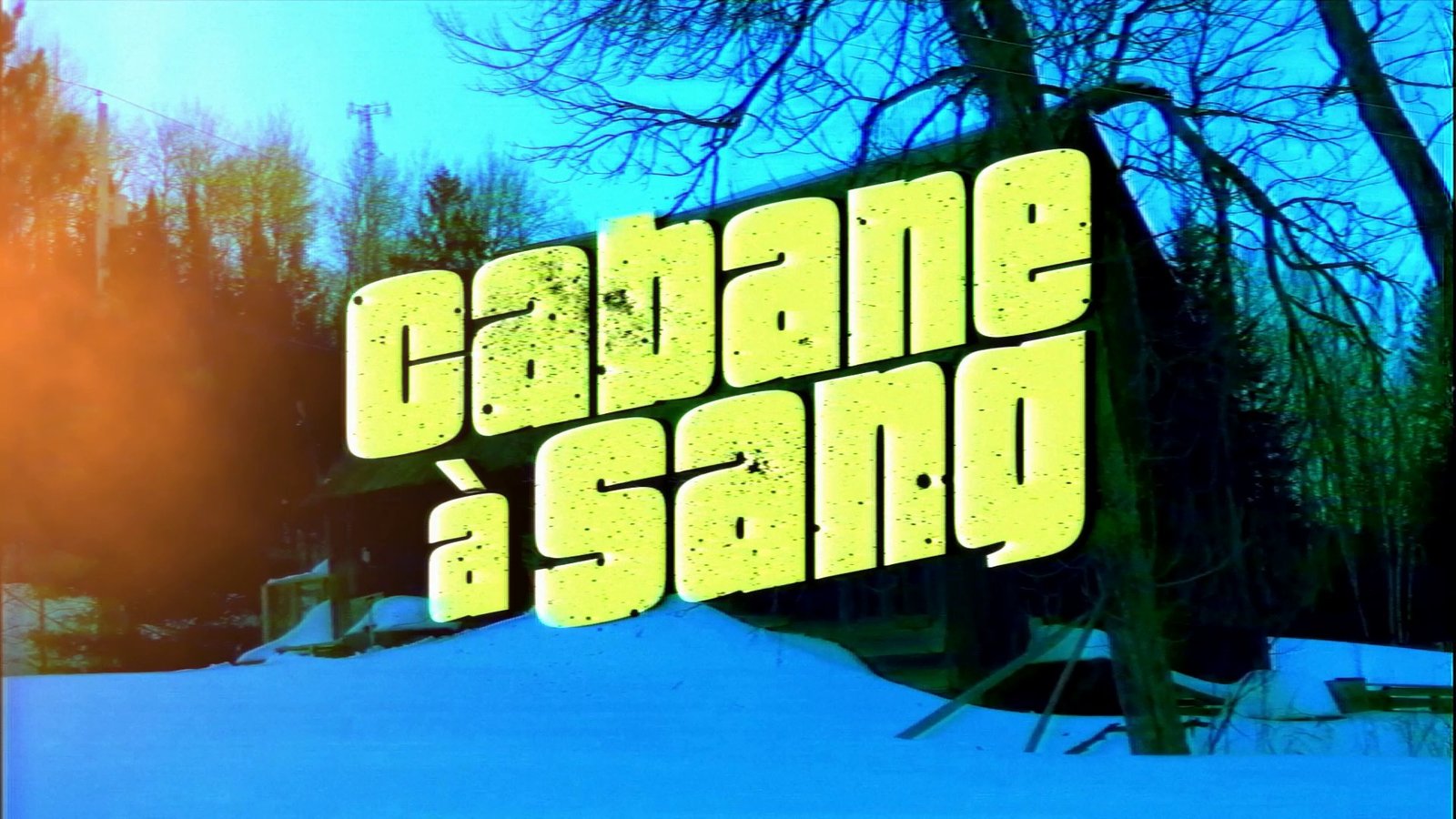 A green title card over a snowy forest. After Super8 Film Lab, light leak look: a light leak at 200 percent across the frame.